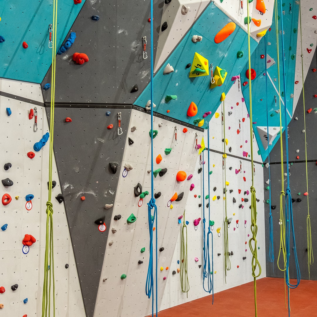 Project klimwand Lycée Vauban